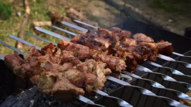 Kebap ızgarada şişte kızarıyor. Sulu, güzel et açık ateşte pişirilir. Mangallı piknik. Duman kömürde et pişirmekten geliyor..