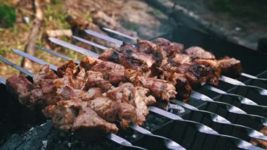 Kebap ızgarada şişte kızarıyor. Sulu, güzel et açık ateşte pişirilir. Mangallı piknik. Duman kömürde et pişirmekten geliyor..