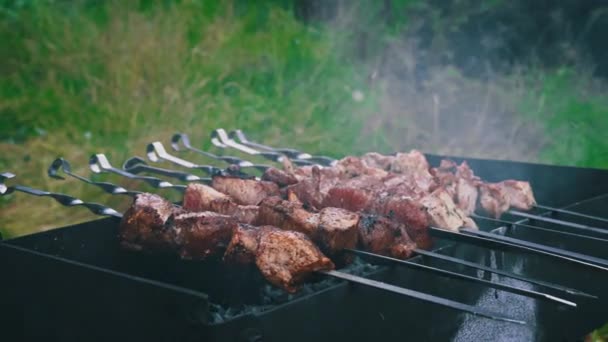 Kebab Wordt Gebakken Spiesjes Grill Sappig Mooi Vlees Wordt Gekookt — Stockvideo