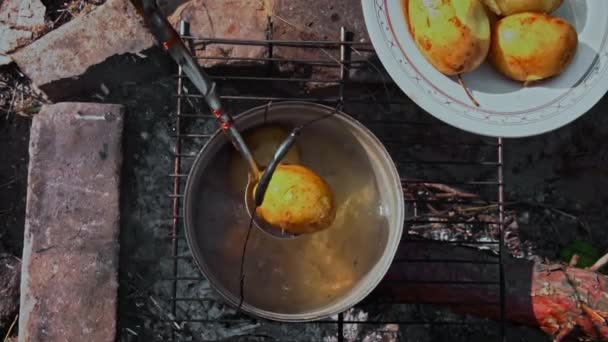 Les Pommes Terre Sont Cuites Dans Grand Chaudron Sur Feu — Video