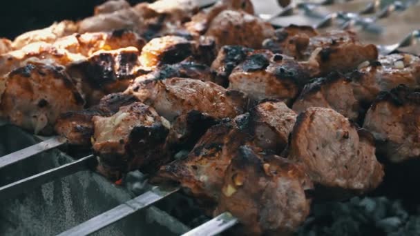 Kebab在烤架上的绞刑架上被炸了鲜美多汁的肉在篝火中烹调 野餐的性质与烧烤 烟是从煤块上烤肉冒出来的 — 图库视频影像
