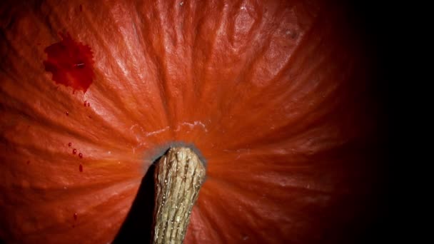 Des Gouttes Rouges Sang Coulant Sur Gros Plan Citrouille Orange — Video