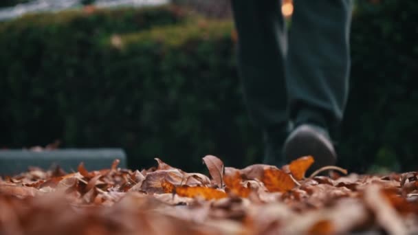 秋に足を踏み入れたマンスは ゆっくりとした動きで公園の葉に足を踏み入れる 若い男が黄色い葉に沿って秋の森を歩いている 涼しい秋の天気の中でリラックスして歩く時間 — ストック動画