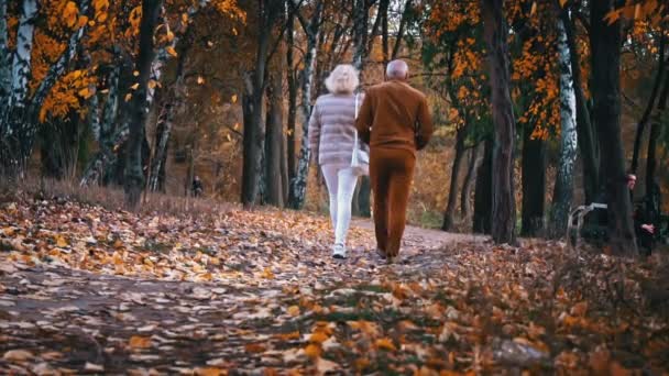 Starší Pár Šedovlasá Manželka Manžel Elegantním Outterwear Chůze Podzim Romantická — Stock video