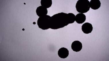 Siyah lekeler beyaz arkaplanı damlalarla dolduruyor. Mürekkep beyaz bir yüzeye damlıyor. Siyah beyaza.