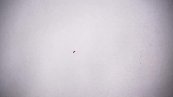 Rode Vlekken Vullen Witte Achtergrond Met Druppels Close Inkt Druipt — Stockvideo