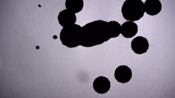 Černé Skvrny Vyplňují Bílé Pozadí Kapkami Zblízka Inkoust Kape Bílý — Stock video