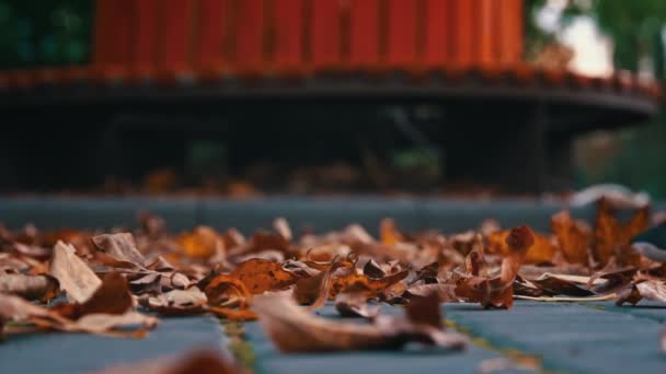 Mans Feet Step Autumn Leaves Park Slow Motion Young Man — Stock Video