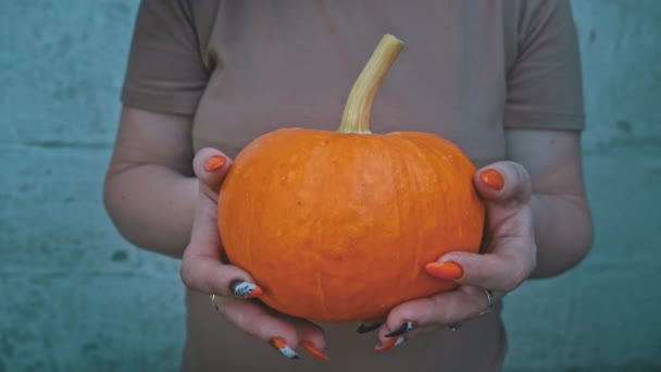 女人把鲜亮的橙色南瓜放在她的手心特写 准备万圣节和种植南瓜 秋节假期 手里拿着南瓜 没有脸 永远的收获 — 图库视频影像
