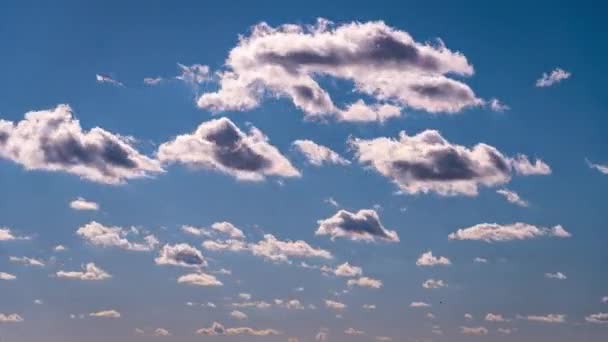 White Fluffy Clouds Slowly Float Blue Daytime Sky Timelapse Beautiful — Stockvideo