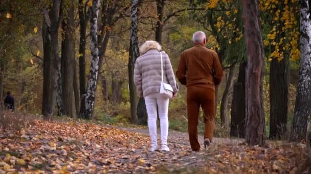 高齢夫婦は秋のエレガントなアウターウォークで白髪妻と夫です 後ろから公園内をロマンチックな散歩 秋の日 高齢者が手をつないで行く — ストック動画