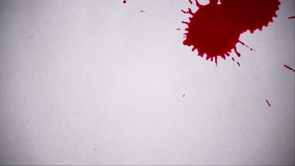 赤いブロットは白い背景を埋め ドロップアップを閉じます インクは白い表面に滴ります ホワイト — ストック動画