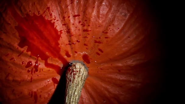 オレンジ色のカボチャのクローズアップに滴下する血液の赤い滴 ハロウィーンの怖いシーン 秋の怖い雰囲気 — ストック動画