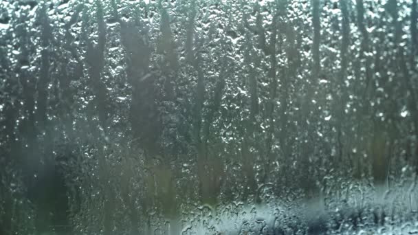 Regndroppar Rinner Ner Fönsterglaset Molnigt Väder Regnigt Väder Kondens Rinner — Stockvideo
