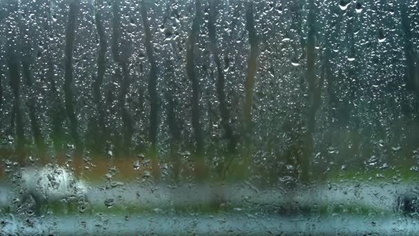 Krople Deszczu Spływają Przez Szybę Pochmurną Pogodę Deszczowa Pogoda Kondensacja — Wideo stockowe