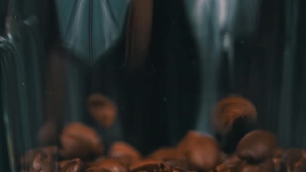 슬로우 모션에 빠지고 화면을 커버합니다 향기로운 어두운 로스트 아라비카 떨어지는 — 비디오