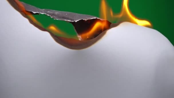 White Paper Burns Green Background Copy Space Sheet Paper Burns — Video