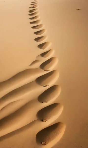 Çölün doğal ortamında kahverengi kum tepeciğine yakın çekim, bu aeolian toprak formunda karmaşık desenler ve toprak gölgeleri sergiliyor.