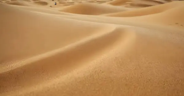 Close Uma Duna Areia Marrom Paisagem Natural Deserto Mostrando Padrões Imagens De Bancos De Imagens Sem Royalties