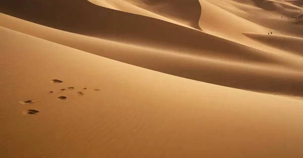 Close Uma Duna Areia Marrom Paisagem Natural Deserto Mostrando Padrões Imagens De Bancos De Imagens