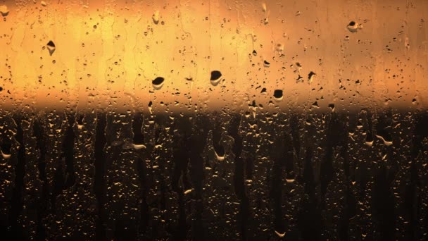 Güneş Işığı Sıcak Altın Bir Parıltıyla Cam Üzerine Yağmur Damlaları — Stok video