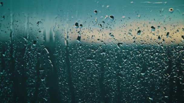 滴滴在凉爽宁静的暮色中把玻璃杯点缀 反映了光和水微妙的相互作用 — 图库视频影像