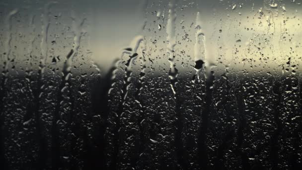 清晨的光线透过雨点斑斑的玻璃过滤 随着风暴的消退 天空将会变得晴朗 — 图库视频影像