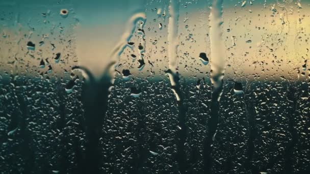 Вечерний Дождь Играет Меланхоличную Серенаду Стекле Капельками Освещенными Закатным Светом — стоковое видео