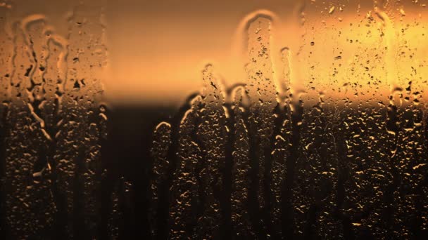 夕阳西下 在紧贴着窗户的雨滴帆布上 描绘了一个温暖的金色的光泽 片刻的宁静 — 图库视频影像