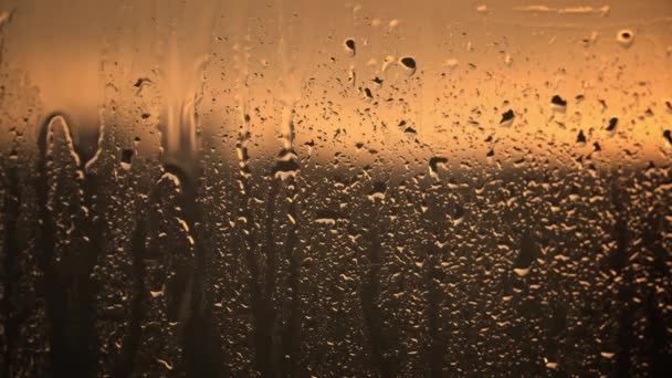 黄昏的金光映衬着一簇雨滴 每滴雨滴在窗玻璃上都有一个小小的棱镜 — 图库视频影像