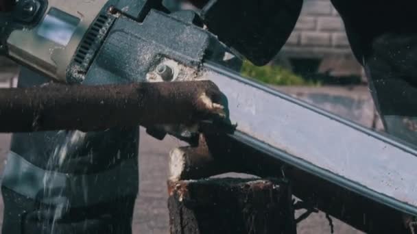 Ξυλοκόπος Πριονίζει Αλυσοπρίονο Κλαδιά Από Κορμό Δέντρου Έσπασε Κορμό Του — Αρχείο Βίντεο