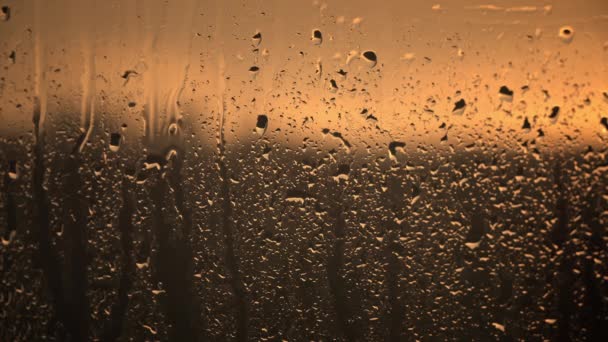 夕阳西下的温暖色调照亮了窗上的雨滴 形成了一种舒缓而明亮的图案 — 图库视频影像