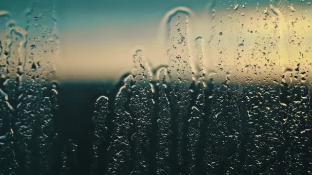 滴滴在凉爽宁静的暮色中把玻璃杯点缀 反映了光和水微妙的相互作用 — 图库视频影像