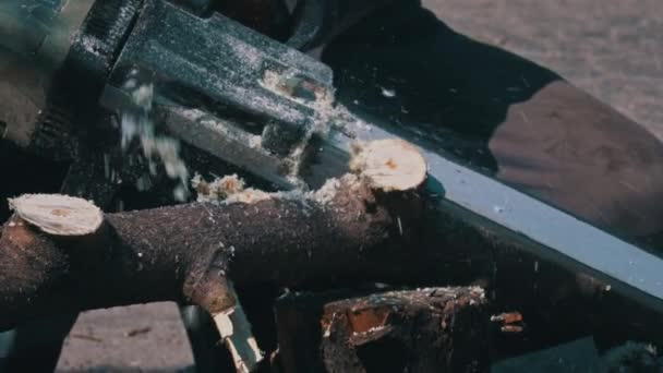 Holzfäller Sägen Mit Der Kettensäge Äste Von Einem Baumstamm Kaputt — Stockvideo