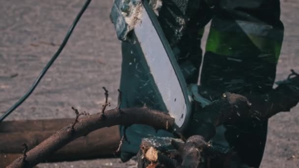 Maderero Aserrando Con Una Motosierra Ramas Tronco Árbol Rompió Árbol — Vídeos de Stock