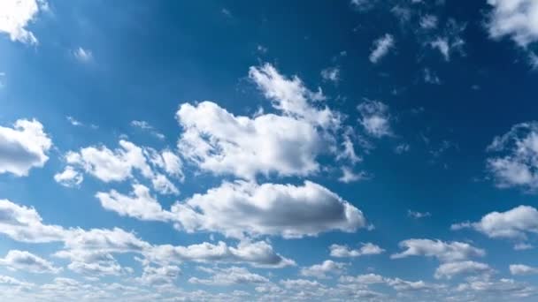 White Fluffy Clouds Slowly Float Blue Daytime Sky Timelapse Beautiful — ストック動画