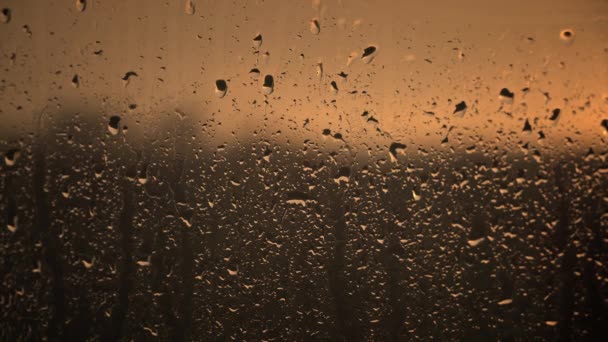 Poslední Sluneční Paprsky Zvýrazňují Křivky Okraje Kapek Deště Okně Zvýrazňují — Stock video