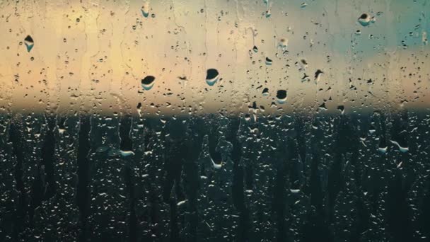 비방울의 태피스트리는 더스키 라이트를 패널을 보석의 캔버스로 바꿉니다 — 비디오