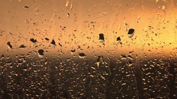 在一个宁静的夜晚 最后一缕阳光映衬着一幅雨滴壁画 映衬着宁静的金色光泽 — 图库视频影像