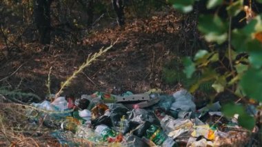 Ormandaki bir çöp yığınından plastik bir şişe alan bir elin yakın çekimi..