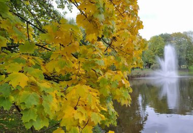 Autumn views of the Riga city canal. clipart