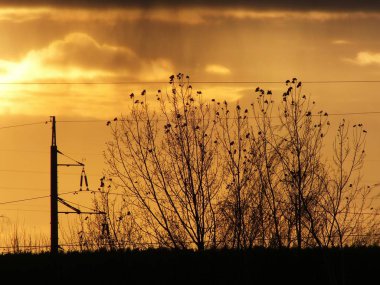 High-voltage power line against the backdrop of a sunset among clouds. clipart