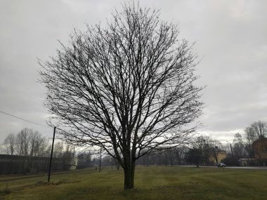 Riga 'nın küçük bölgesinde Gri Kasım sabahı.