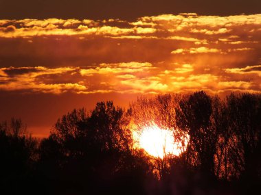 Riga 'nın Bolderaja bölgesinde yüksek güneş aktivitesi.