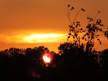 Riga 'nın Bolderaja bölgesindeki sıcak havada gün batımı.