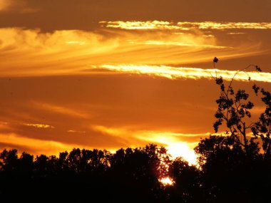 Riga 'nın Bolderaja bölgesinde gün batımı parlıyor. Yaz bulutları batan güneşin ışınlarıyla aydınlanır..