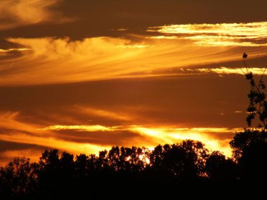 Riga 'nın Bolderaja bölgesinde gün batımı parlıyor. Yaz bulutları batan güneşin ışınlarıyla aydınlanır..
