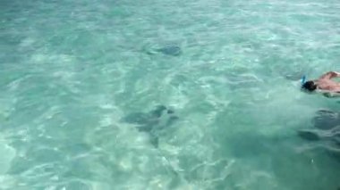 Swimming and snorkeling with stingrays ans sharks in Bora Bora, Tahiti, French Polynesia. Turquoise blue lagoon in Bora Bora. Luxury travel vacation, romantic getaway, honeymoon exotic destination 