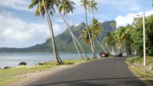 在法属波利尼西亚塔希提的Bora Bora Bora 绿松石蓝色泻湖 有棕榈树 在Bora Bora周围开车 可以看到Otemanu山 奢华的旅行 浪漫的出游 — 图库视频影像