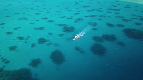 Aerial Drone在法属波利尼西亚塔希提的Bora Bora Bora的绿松石蓝色泻湖中巡航 一艘船的特写镜头 奢华浪漫的假期蜜月异国情调的目的地 — 图库视频影像